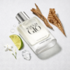 Acqua Di Gio Giorgio Armani 3.4 EDT(M)