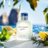 Dolce & Gabbana Light Blue 4.2 EDT(M)